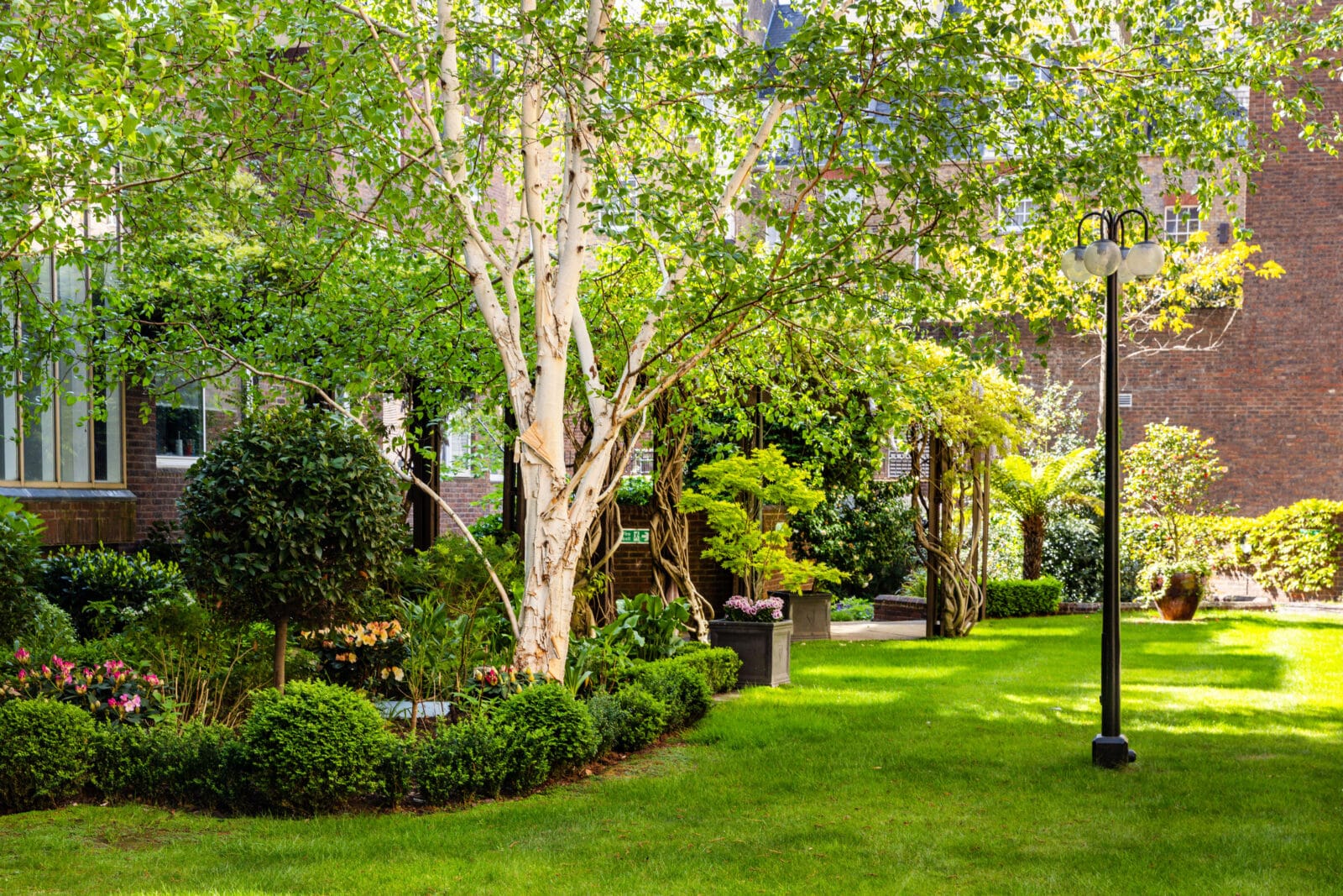 Flat 3, 55 Ebury Street-34